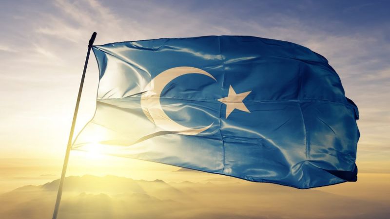 Uygur Türkleri, Stockholm'de Toplandı! Çin'in Uygulamalarının "Soykırım" Olarak Tanınması İstendi 1