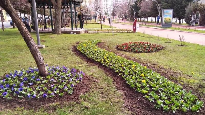 Ankara Keçiören Belediyesi'nde Ağaç ve Çiçek Dikme Çalışmaları Hızlandı! 3