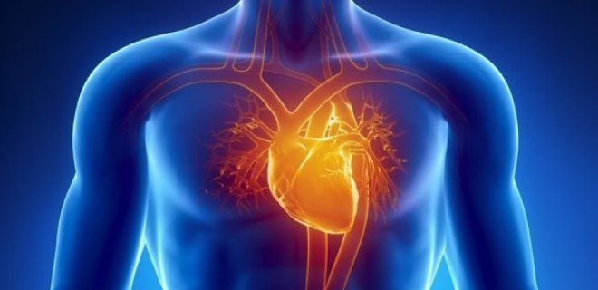 Covid-19 Sonrası Kalp Kası Hastalıklarına Dikkat! 2