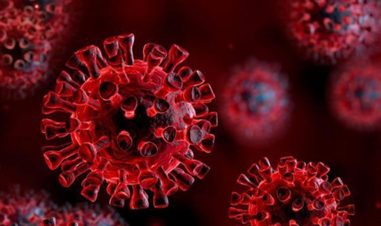 Ankara Koronavirüs Salgınında Şok Gelişme! Vaka Sayıları 60 Bini Aştı, İlk Kez Böyle Bir Şey Yaşandı! Sağlık Bakanı Koca'dan Haber Var! 4