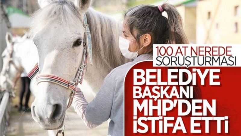 İBB'nin Kaybolan Atları İle İlgili MHP'den Açıklama Geldi! "Karar İşleme Konuldu!" 1
