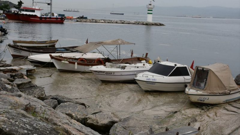 Deniz Salyası Balıkçıları Zarara Uğrattı! Avlanma Yapamıyorlar! 10