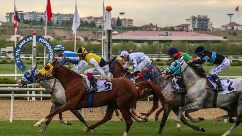 At Yarışlarının En Önemli Koşularından Biri! TBMM Koşusu Yarın Ankara'da! 1