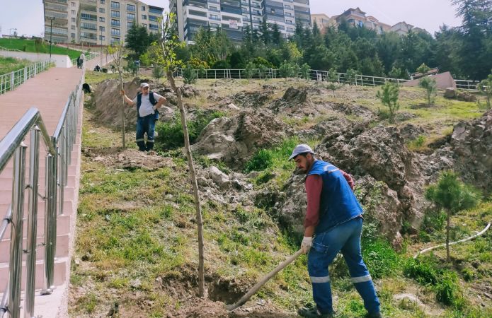 Ankara'da Ağaçlandırma seferberliğinde vatandaş ve belediye işbirliği 2