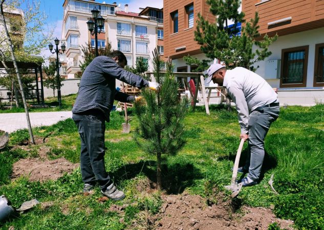 Ankara'da Ağaçlandırma seferberliğinde vatandaş ve belediye işbirliği 3
