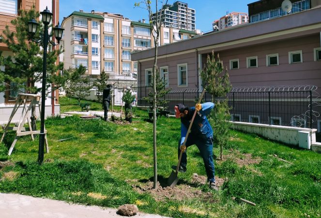 Ankara'da Ağaçlandırma seferberliğinde vatandaş ve belediye işbirliği 5