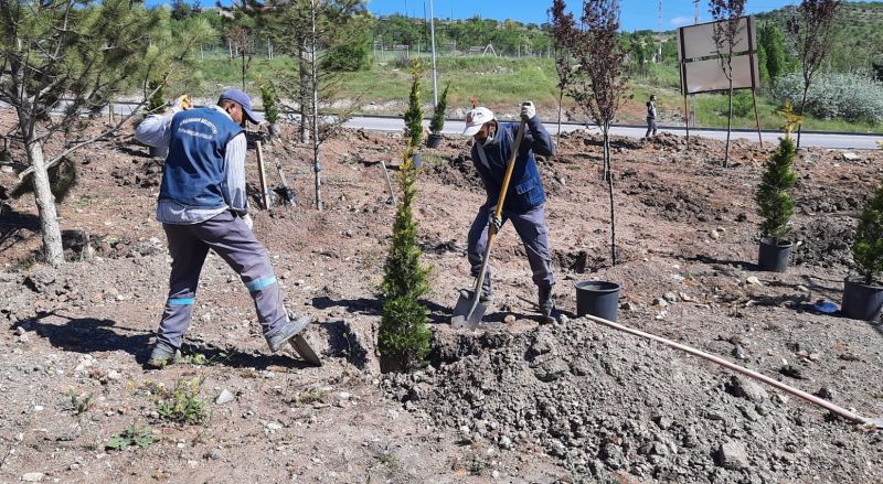 Ankara'da Ağaçlandırma seferberliğinde vatandaş ve belediye işbirliği 7
