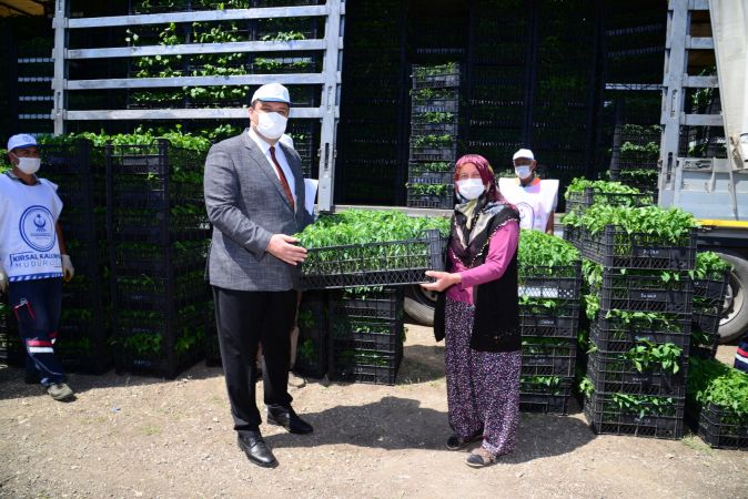 Ankara'da 500 çiftçiye 1 milyon 200 bin sebze fidesi 9