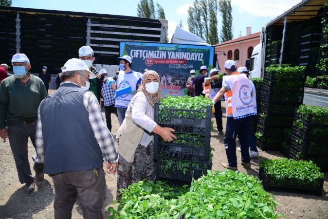 Ankara'da 500 çiftçiye 1 milyon 200 bin sebze fidesi 16