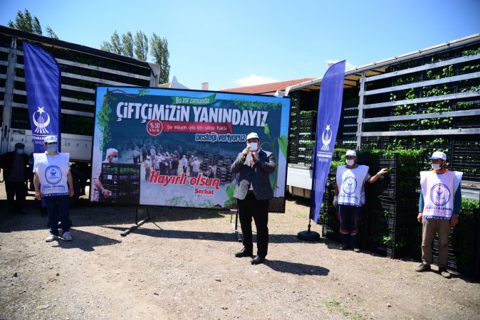 Ankara'da 500 çiftçiye 1 milyon 200 bin sebze fidesi 3