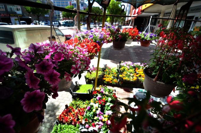Konya'da çiçekçilerde bahar dönemi yoğunluğu yaşanıyor 4