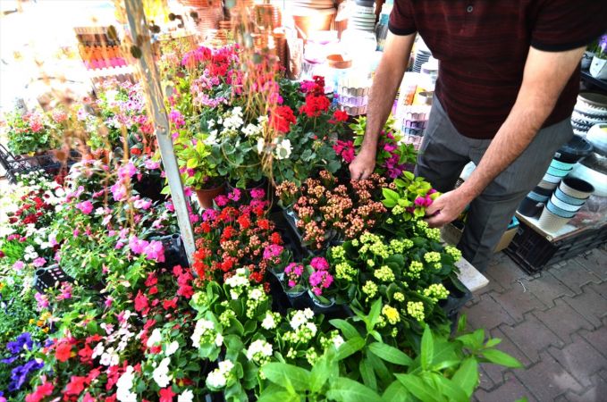 Konya'da çiçekçilerde bahar dönemi yoğunluğu yaşanıyor 8