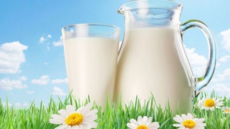 Tercih Değil İhtiyaç! Dünya Süt Gününde SETBİR'den Anlamlı Açıklamalar! 2