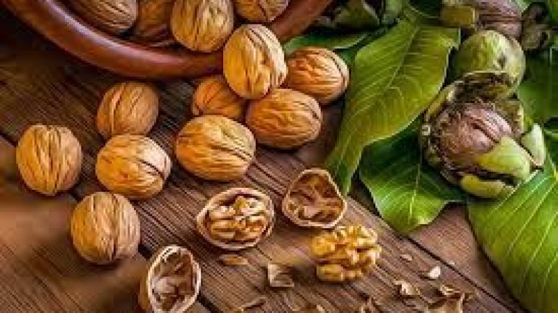 Erkekler Neden Ceviz Yer? İşte O Müthiş Sır… 1