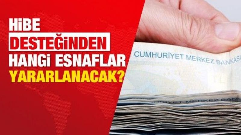 Vergi Levhasında NACE Kodu Nerede Yazar? Hibe Desteğinden Hangi Esnaflar Yararlanacak? 4