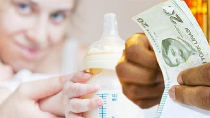 232 TL Süt Parası Nasıl Alınır? Anneler Kimlik Ve Doğum Belgesi İle Kolayca Alabilecekler 4