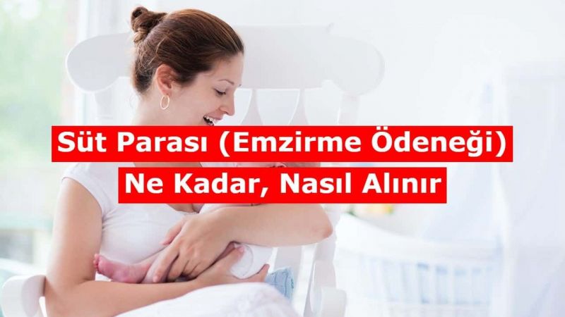 232 TL Süt Parası Nasıl Alınır? Anneler Kimlik Ve Doğum Belgesi İle Kolayca Alabilecekler 2