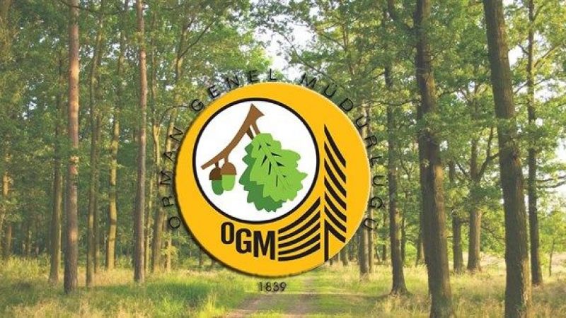 Orman Genel Müdürlüğü Harekete Geçti! Yeşillendirme İçin Yeni Tesis ve Fidanlıklar Geliyor! 2