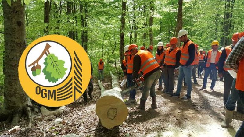 Orman Genel Müdürlüğü Harekete Geçti! Yeşillendirme İçin Yeni Tesis ve Fidanlıklar Geliyor! 1