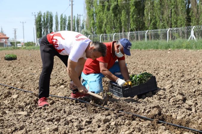 Çubuk'ta genç sporcular ihtiyaç sahipleri için sebze yetiştiriyor 4