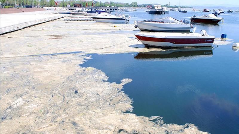 Marmara Denizi İçin El Ele! Bakan Kurum Temizlenen Müsilaj Miktarını Açıkladı! 3