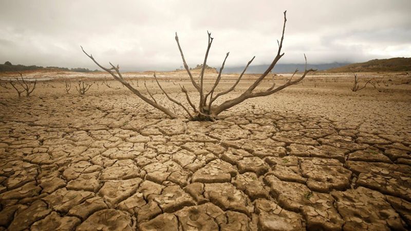 Türkiye Çölleşiyor! Kuraklık Milyonlarca Hektar Araziyi Yok Ediyor! 2