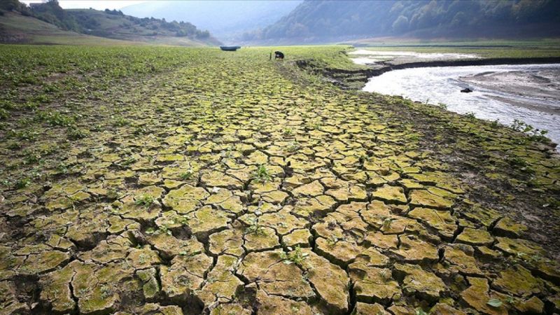 Türkiye Çölleşiyor! Kuraklık Milyonlarca Hektar Araziyi Yok Ediyor! 1