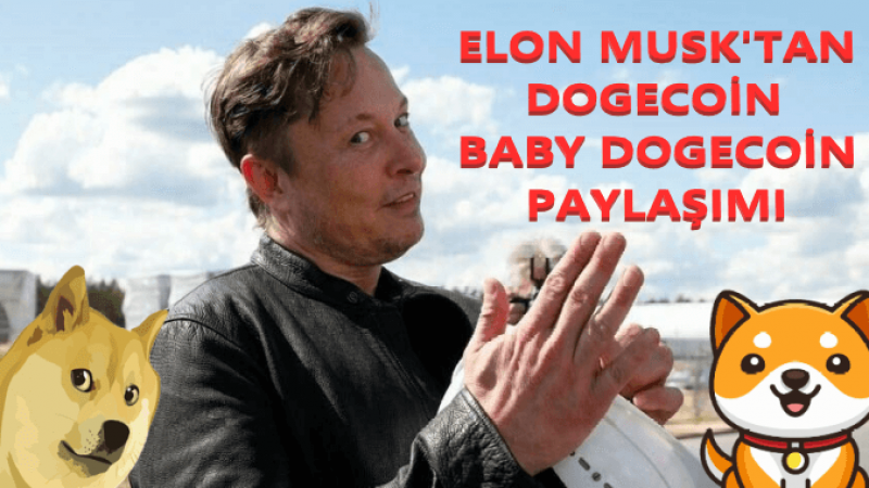 Elon Musk Yine Yaptı Yapacağını! Bir Tweeti Bakın Hangi Kripto Paraya Yaradı? Bu Sefer Dogecoin Değil! 2