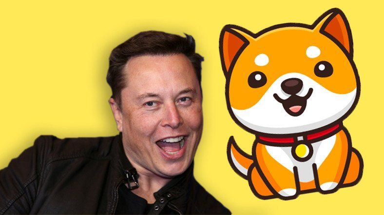 Elon Musk'ın Yeni Gözdesi Baby Dogecoin! Baby Doge Coin Nedir, Ne Değildir? 2