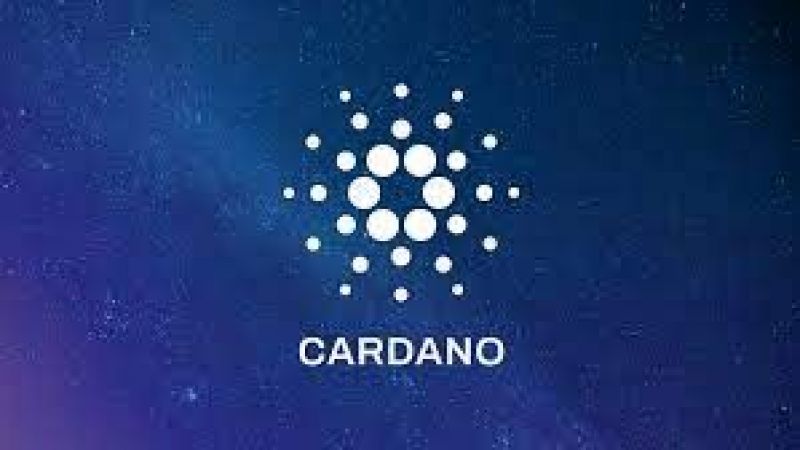 Cardano Güzel Kar Bıraktı! Yatırımcı Kısa Sürede 10% Oranında Kazanç Sağladı! 2