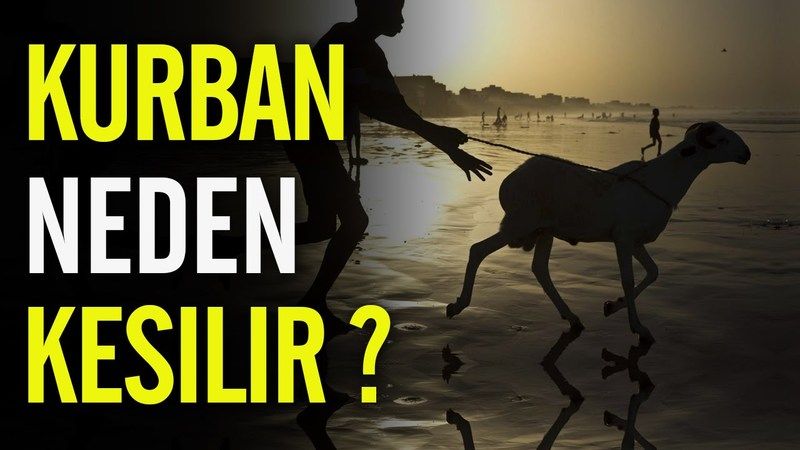 Neden Kurbanlık Kesilir Hikayesi! Kurban Olayı Hangi Peygambere Geldi? Ibrahim İsmaili Neden Kurban Etmek İstedi? 1