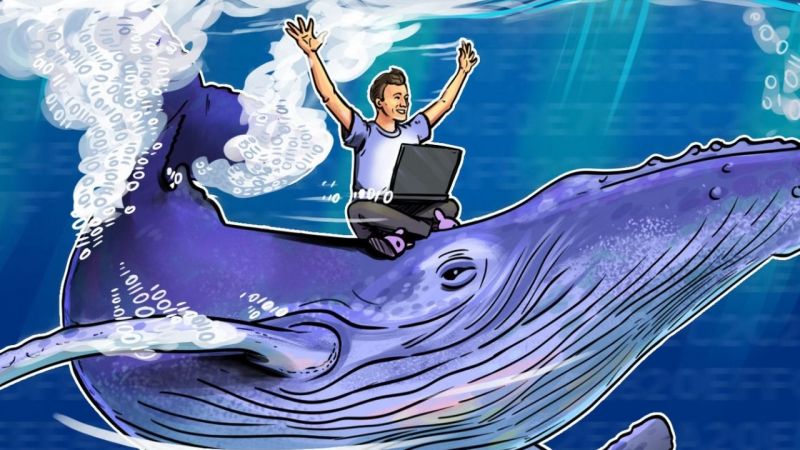 Bitcoin Balinalarına Neler Oluyor! Madencilik Zorluğunun Düşüşü Harekete Geçmelerini Sağladı! 1