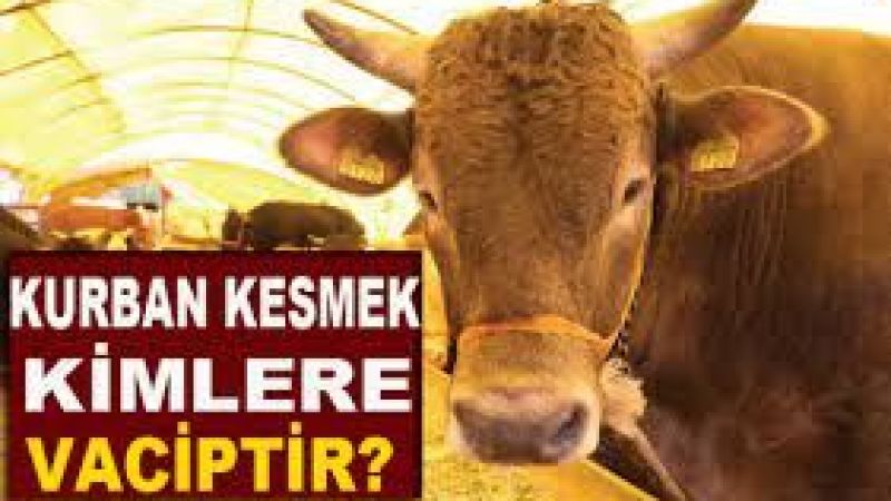 Kurban Kesmek Kimlere Farzdır? Kurban Kesmek İçin Ne Kadar Mal Varlığı Olması Gerekir? 2