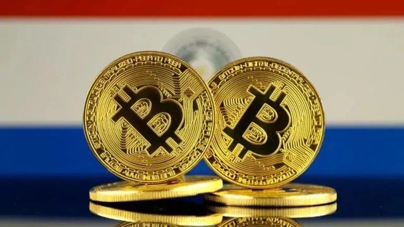 Paraguay Bitcoin Yasa Tasarısı Sonrası Yer Yerinden Oynayacak! Tasarının İçeriğinde Neler Var? 2