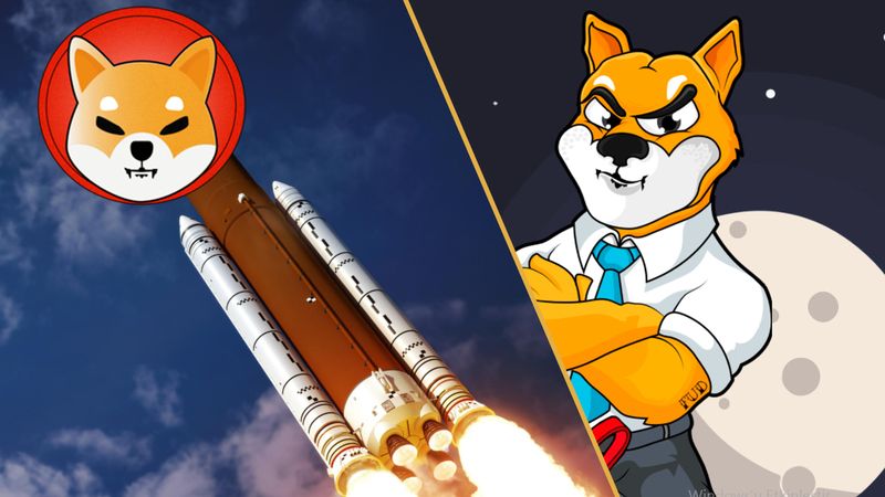 Şaka Coinler Herkesi Yanılttı! Dogecoin ve Shiba Coin'in Geleceği Ne Olacak? İşte Detaylar... 1