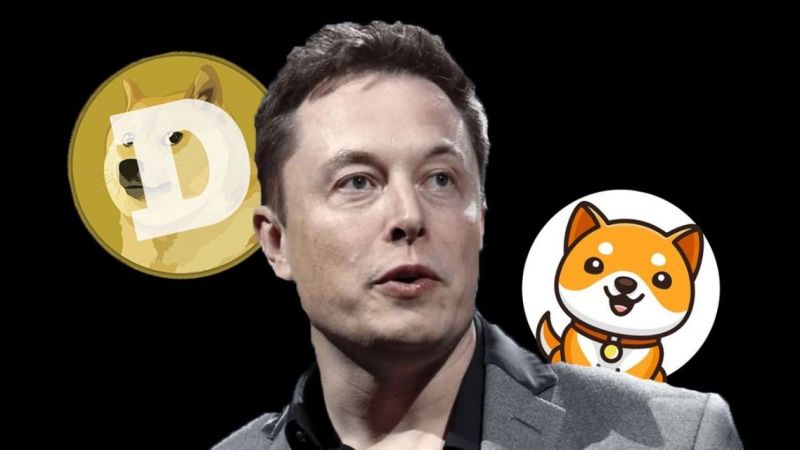 Tüm Kripto Piyasası Çöktü O Hariç! Elon Musk Sayesinde Rallide Öne Geçti! İşte o AltCoin! 2