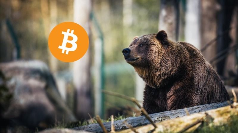 Bitcoin'de Ayı Piyasası Çıkmazı! Şu Dönemde Yatırım Yapılır Mı? Doğru Strateji Ne? 1