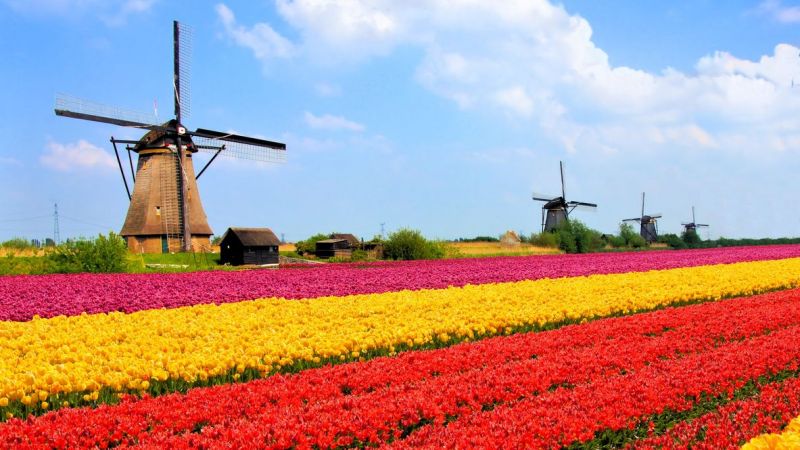 Hollanda'da Asgari Ücret Kaç Lira? Hollanda’da Asgari Ücret Ne Kadar, Kaç Euro? İşte Hollanda Asgari Ücret 2021 2