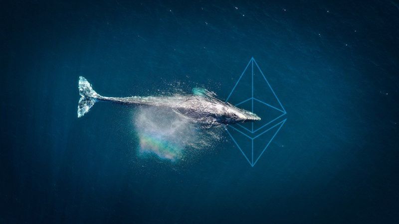 Ethereum Balinaları Rekora Koşuyor! Son 5 Yılın Zirve Miktarına Ulaştılar! 2