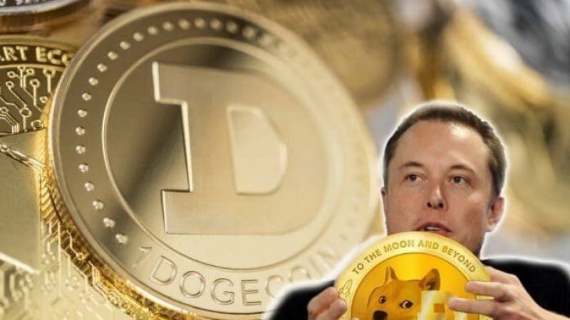 Elon Musk Destek Verir Mi Bilinmez! Dogecoin Madenciliği Türkiye'de Yapılır Mı? Kar Getirir Mi? İşte Tüm Detaylar... 3