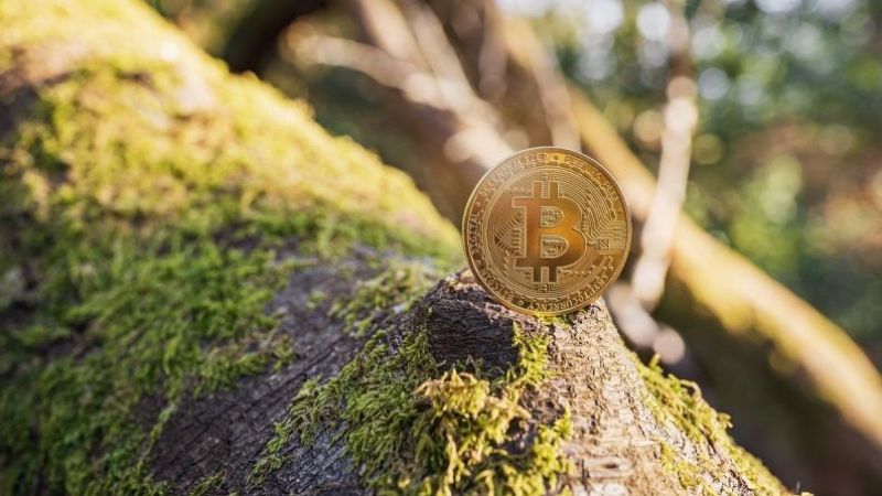 Bitcoin'in Arkasındaki Sır Ne? Neden Yükselişe Geçti! İşte Tüm Detaylar... 2