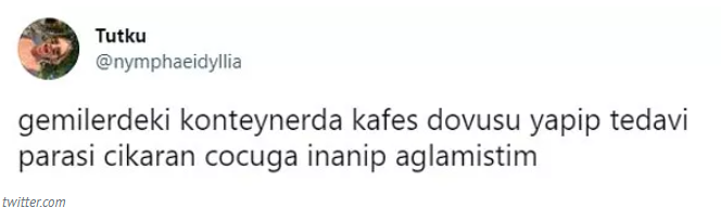 Twitter Kullanıcısının ‘’Gerizekalı mısınız?’’ Sorusuna Öyle Cevaplar Geldi ki; Görenler Gülmekten Kırıldı? İşte Herkesi Kahkahaya Boğan O Haberin Detayları… 2