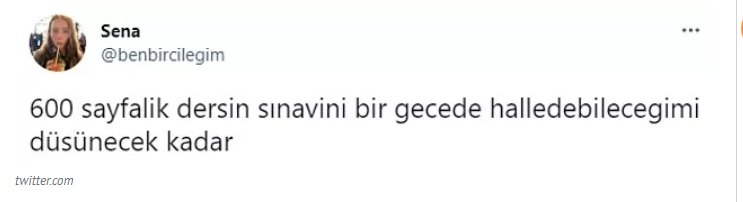 Twitter Kullanıcısının ‘’Gerizekalı mısınız?’’ Sorusuna Öyle Cevaplar Geldi ki; Görenler Gülmekten Kırıldı? İşte Herkesi Kahkahaya Boğan O Haberin Detayları… 1