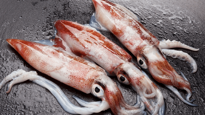 Mürekkep Balığı Nasıl Pişirilir? Mürekkep Balığı Kemiği Var Mı, Yenir Mi? Mürekkep Balığı İle Kalamar Aynı Mı? 1