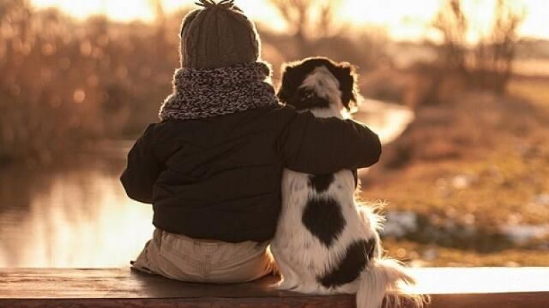 26 Ağustos Dünya Köpek Günü Nedir? Dünya Köpek Günü Nasıl Ve Ne Zaman Ortaya Çıktı? 1