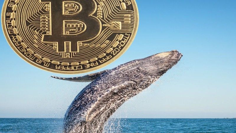 Bitcoin Balinaları Tekrar Harekete Geçti: 2 Milyar Dolardan Fazla BTC Taşındı! 1