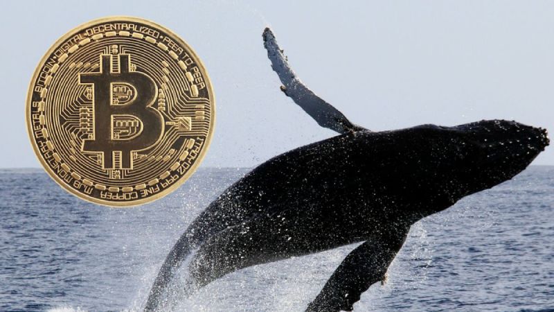 Bitcoin Balinaları Tekrar Harekete Geçti: 2 Milyar Dolardan Fazla BTC Taşındı! 2