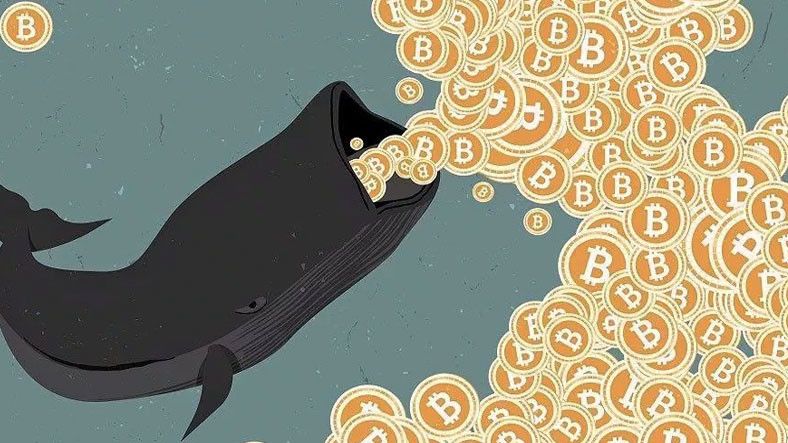 Bitcoin'de Balinalar Hareketlendi! Fiyatlara Etkisi Ne Olacak? İşte Detaylar... 2