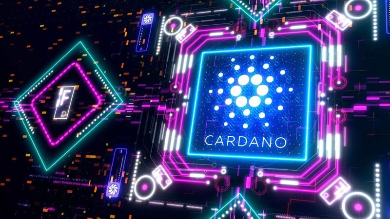 Cardano İçin Beklenen Platform Hazır! İşte Detaylar... 3