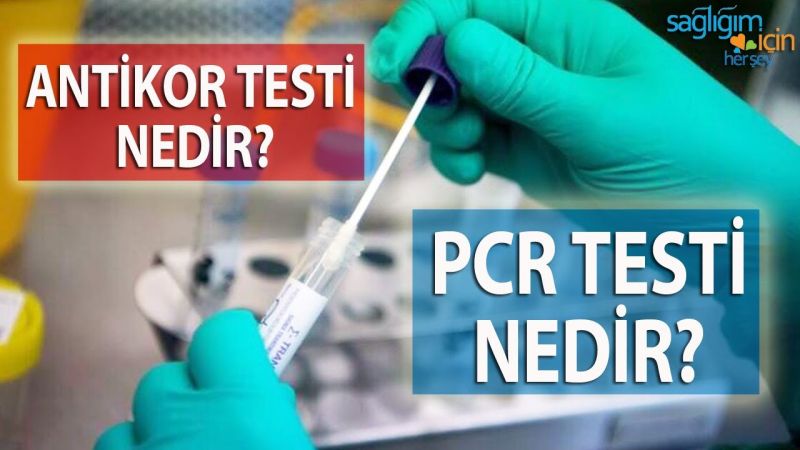 Sağlık Ocağında PCR Testi Yapılır Mı? Ankara’da Korona Testi Nerelerde Yapılır? 1